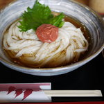 recommendations for 名水うどん 野々傘