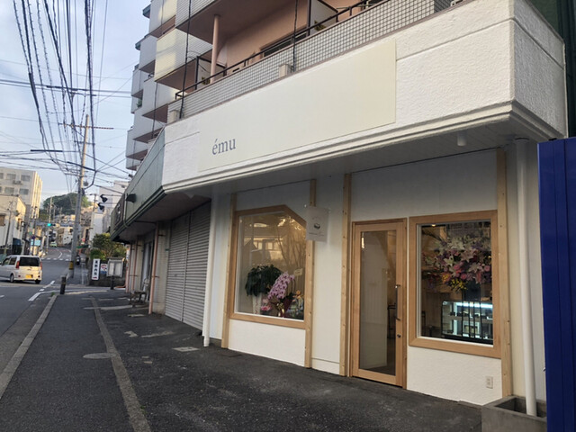 recommendations image for emu