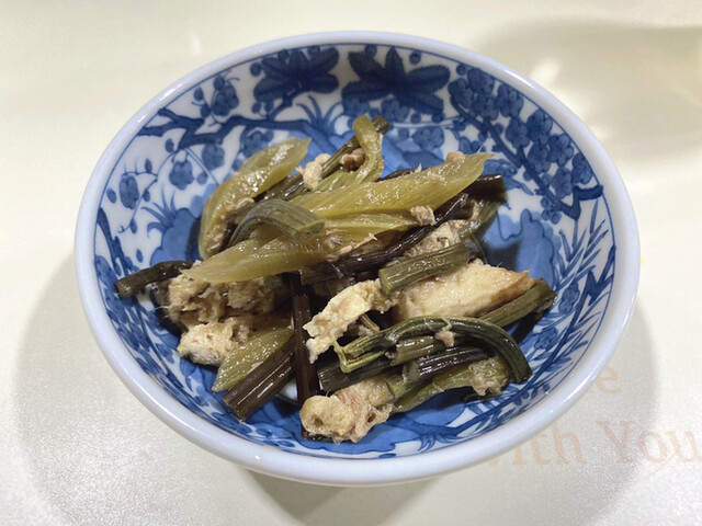 かっぱ的实拍高清图