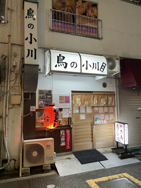 鳥の小川的实拍高清图