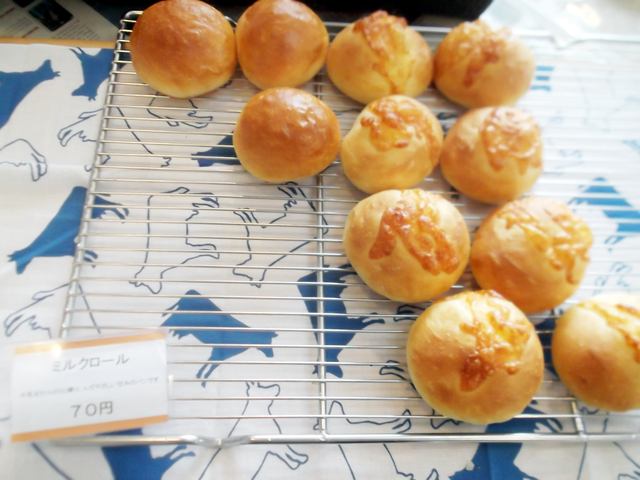 パン ド ミック的实拍高清图