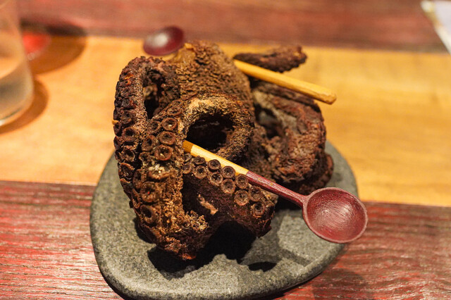 MAZ的實拍高清圖