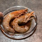 recommendations for ヤングオイスター