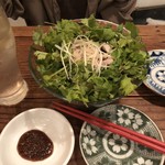 東京台湾的實拍圖
