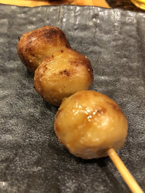 鶏鷹的實拍高清圖