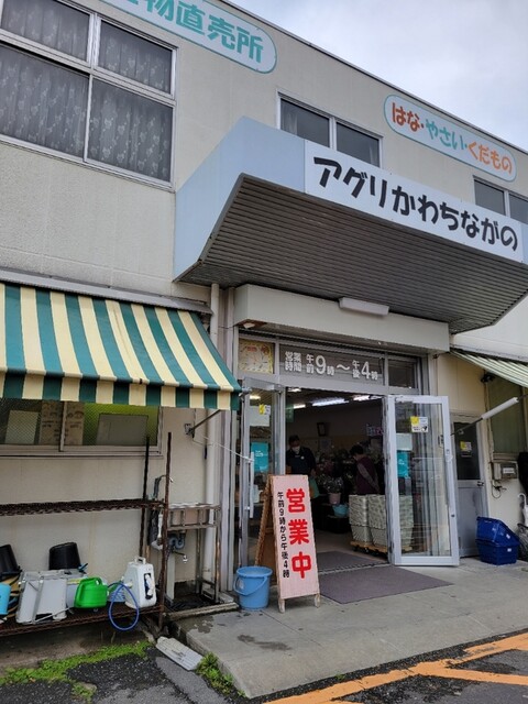 アグリかわちながの JA大阪南河内長野支店的實拍高清圖
