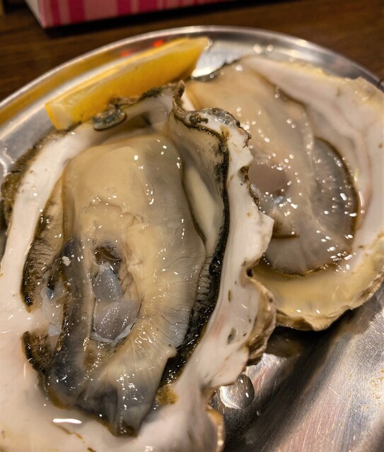 大厚岸的实拍高清图