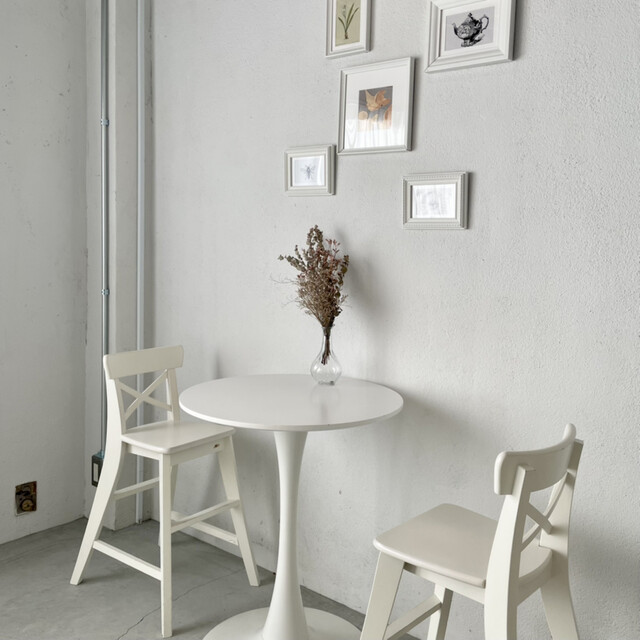 recommendations image for papillon