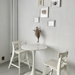 recommendations for papillon