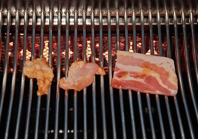 焼肉 匠苑的实拍高清图