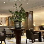 MAYFAIR的实拍图