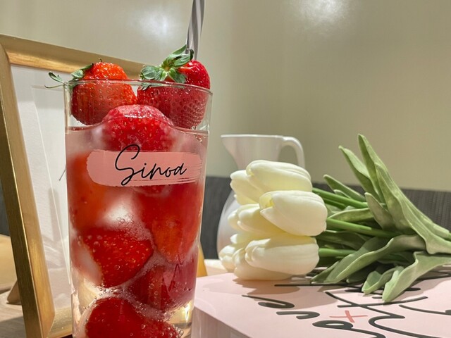 recommendations image for sinoa