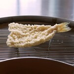 てんぷら 山の上 Roppongi 東京ミッドタウン店的實拍圖