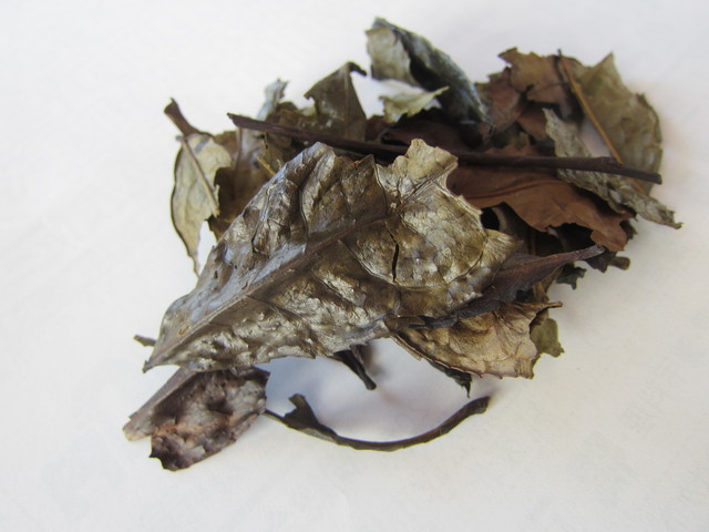 一保堂 日本橋三越店的實拍高清圖