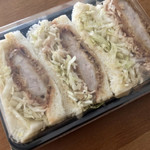 recommendations for SHINA