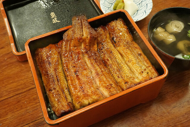 魚政的實拍高清圖