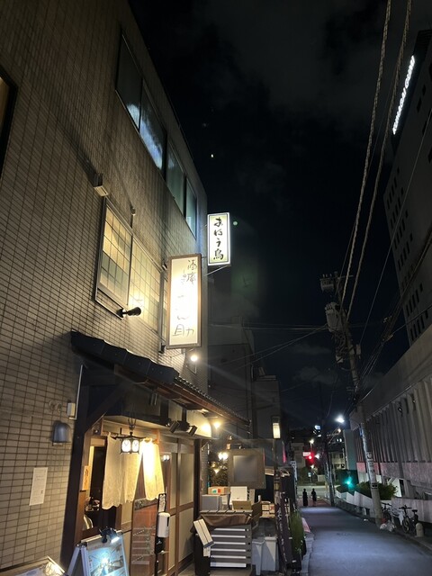 あほう鳥的實拍高清圖