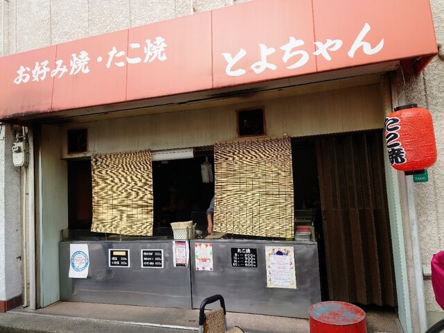 とよちゃん的实拍高清图