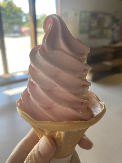 知床五湖レストハウス的實拍高清圖