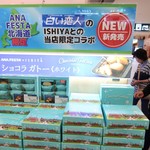 ANAフェスタ 新千歳空港店的实拍图