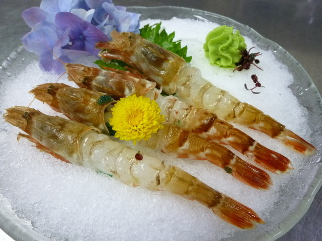 海鮮料理 美加茂的实拍高清图