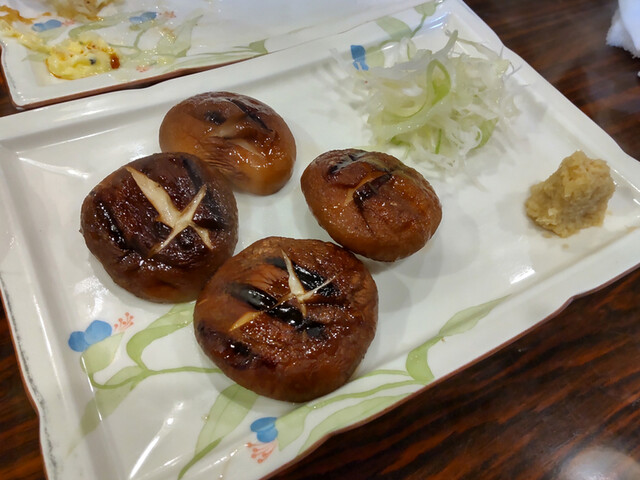 たぬき的實拍高清圖