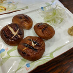 たぬき的實拍圖