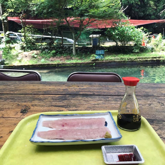 辻野養魚場的實拍高清圖