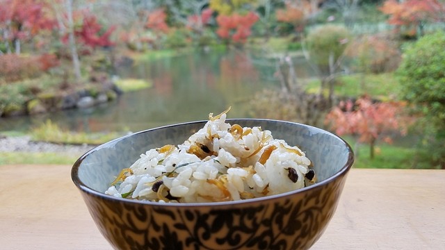 ゆう月的实拍高清图