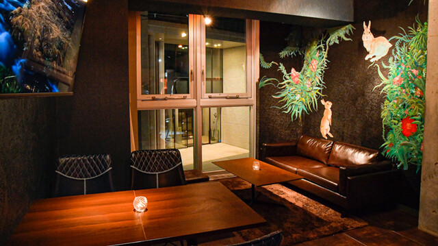 recommendations image for Bista