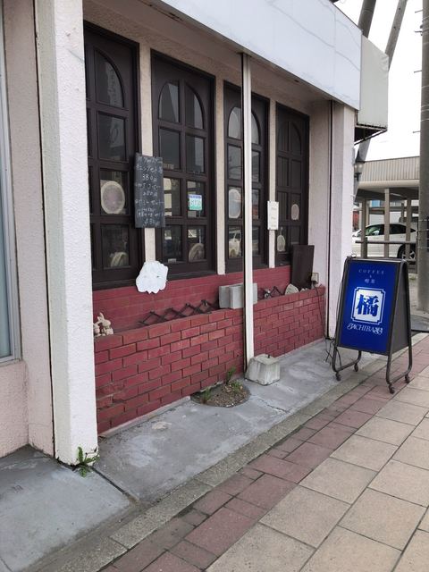 橘的实拍高清图