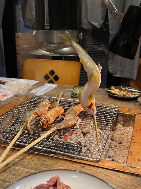 ロバタノカリスマ的實拍高清圖