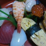 魚伸的实拍图