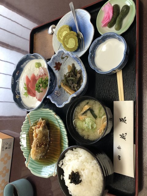 四季花菜的实拍高清图
