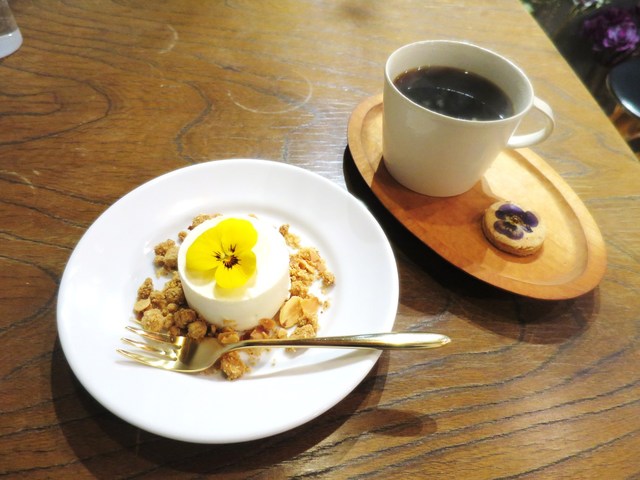 コチト ハナトオカシト的實拍高清圖