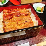 recommendations for 江戸前うなぎ 釜めし 江戸定