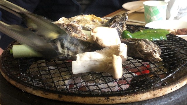 田吾作的实拍高清图