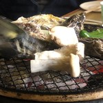田吾作的实拍图