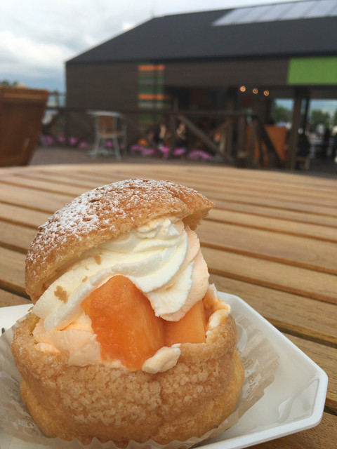 とみたメロンハウス的实拍高清图