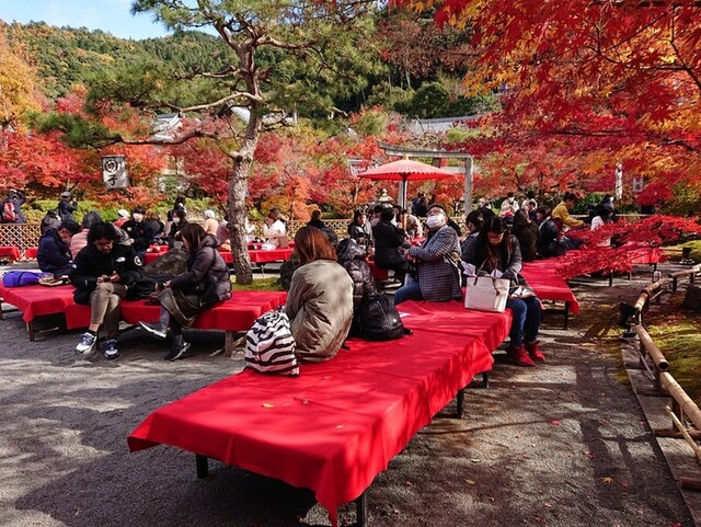 recommendations image for みかえり茶屋