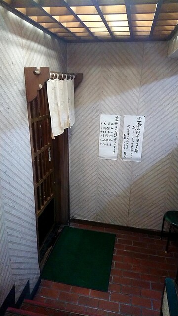 若竹的實拍高清圖