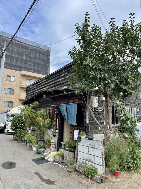 一休的实拍高清图