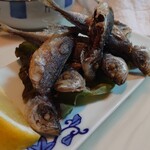 recommendations for 俵や