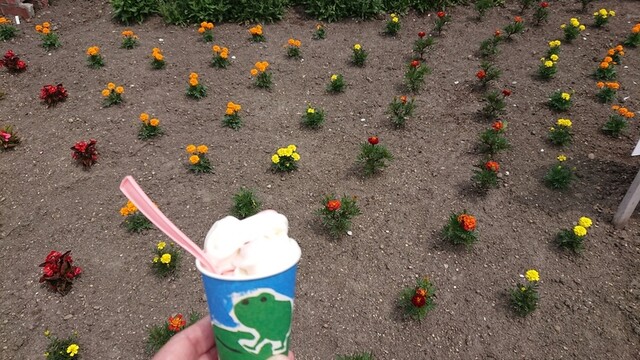 recommendations image for 花のCAFE