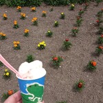 recommendations for 花のCAFE