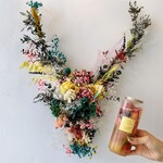Punch的实拍图