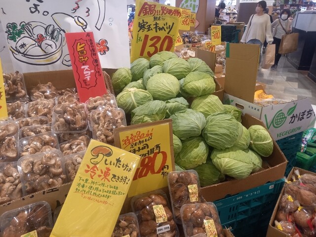 やおや植木商店的实拍高清图