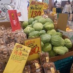 やおや植木商店的实拍图