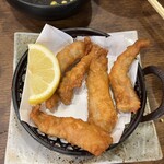 向日町酒場　情熱ホルモン的實拍圖