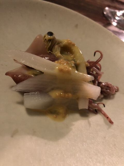 sacae的实拍高清图